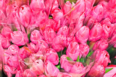 Similar image 838272