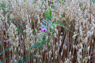 Similar image 838284