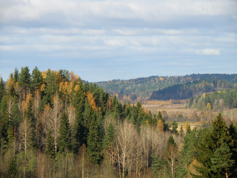 Similar image 838285