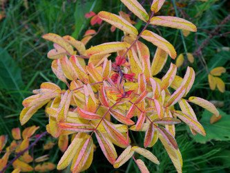 Similar image 838290