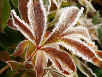 Similar image 838299