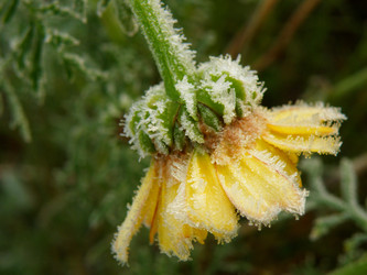 Similar image 838300