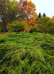 Similar image 838305