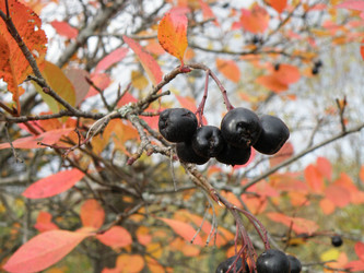 Similar image 838328