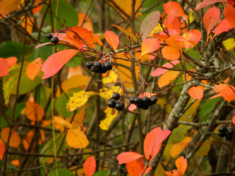 Similar image 838329