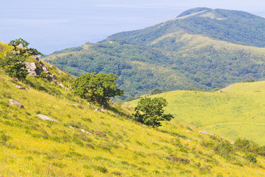 Similar image 838373