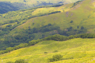 Similar image 838376