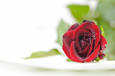 Similar image 838377