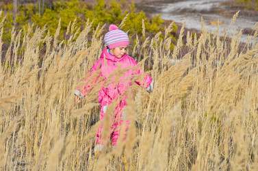 Similar image 838387