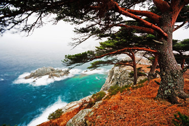 Similar image 838389