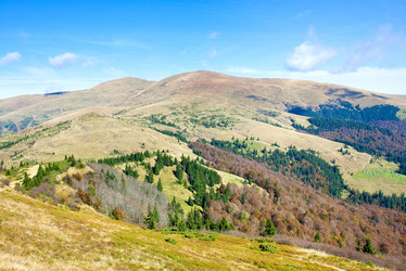 Similar image 838407