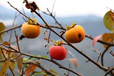 Similar image 838473