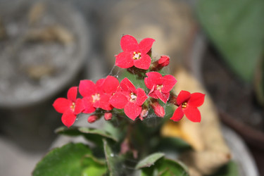 Similar image 838504