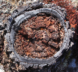 Similar image 838513