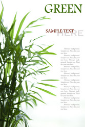 Similar image 838539