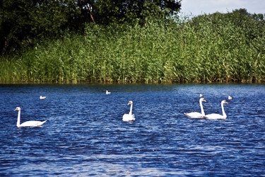 Similar image 838552