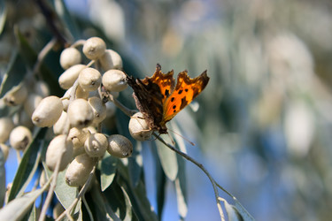 Similar image 838608