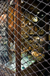 Similar image 838628