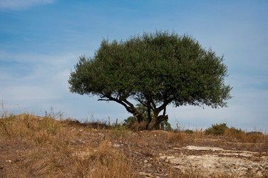 Similar image 838632