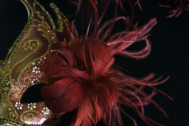 Similar image 838634