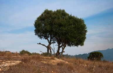 Similar image 838636