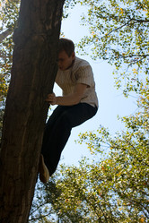 Similar image 838667