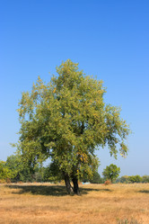 Similar image 838672