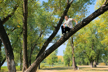 Similar image 838679