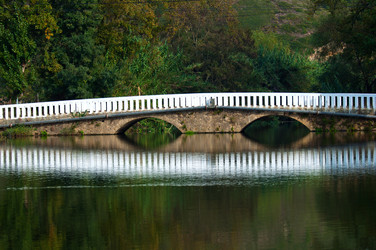 Similar image 838722