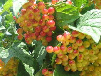 Similar image 838769