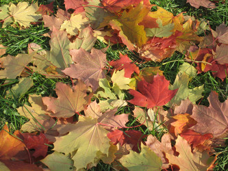 Similar image 838771