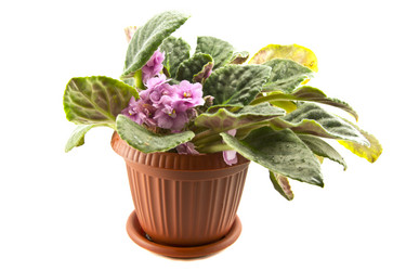 Similar image 838784