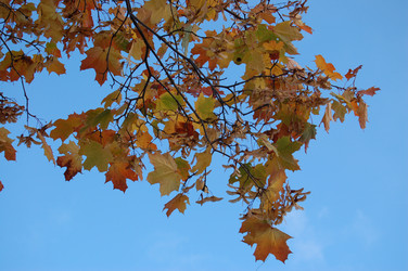 Similar image 838786