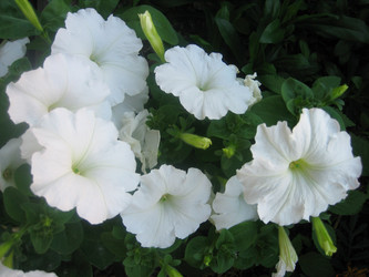 Similar image 838787