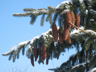 Similar image 838792