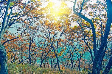 Similar image 838806