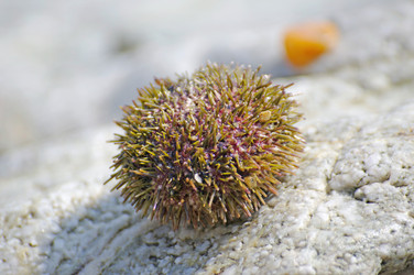 Similar image 838813