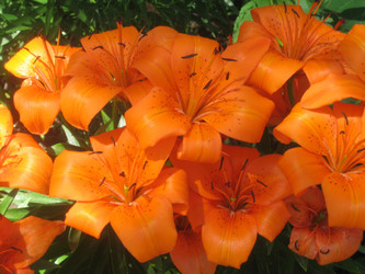 Similar image 838896