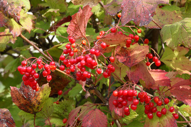 Similar image 838904