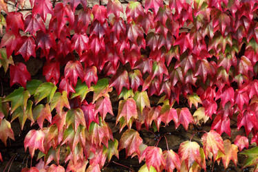 Similar image 838905