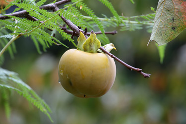 Similar image 838906