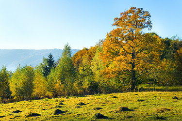 Similar image 838908