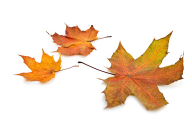 Similar image 838955