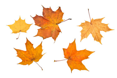 Similar image 838956