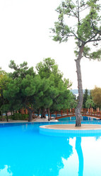 Similar image 839002