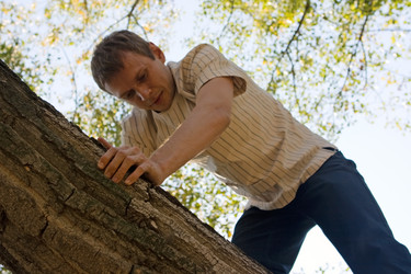 Similar image 839007