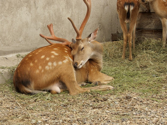 Similar image 839026