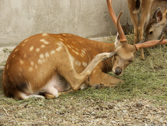 Similar image 839028