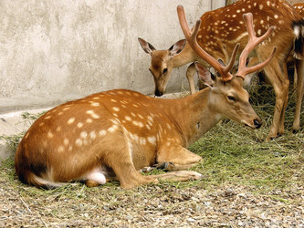 Similar image 839027