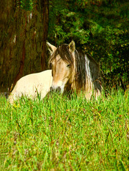 Similar image 839044